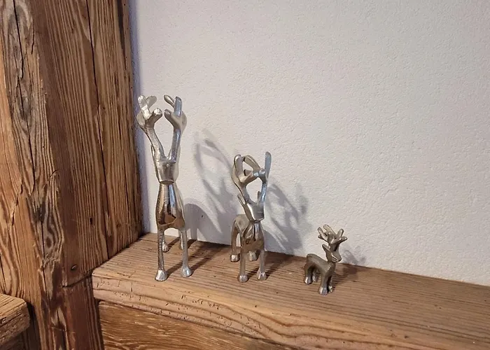 Tirol Brixen Apartment *